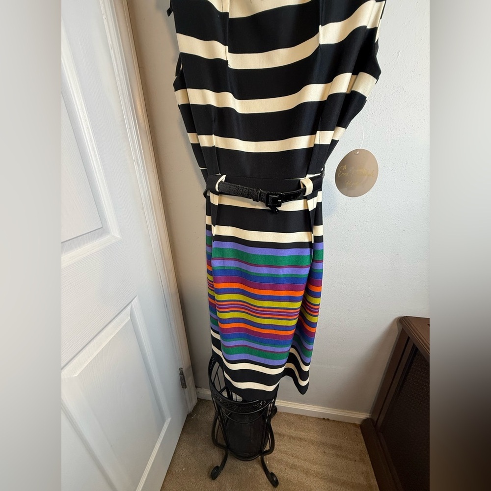 Striped Multicolor Dress - Picture 12 of 13